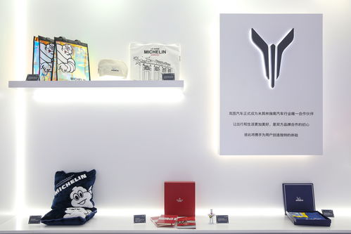 央企高管與央視女主播在上海車展創(chuàng)新帶貨嵐圖汽車