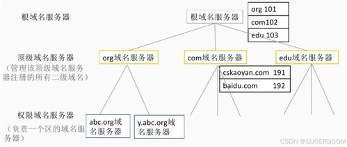 服務基礎第一階段第六節 Windows系統管理基礎——DNS部署與安全，助力信息系統運行維護服務